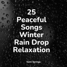 Album cover of 25 Peaceful Songs Winter Rain Drop Relaxation