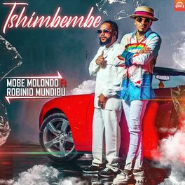 Album cover of Tshimbembe