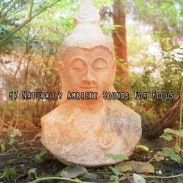 Album cover of 67 Naturally Ambient Sounds For Focus