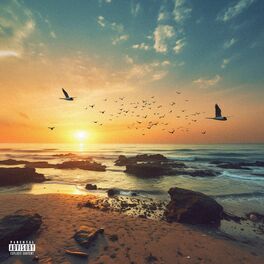 Album cover of Flightmode