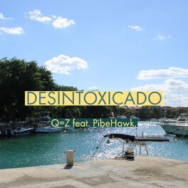 Album cover of Desintoxicado