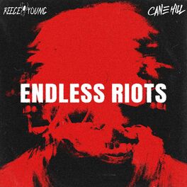 Album cover of Endless Riots