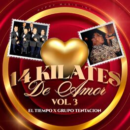 Album cover of 14 Kilates de Amor, Vol. 3