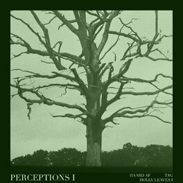 Album cover of Perceptions I