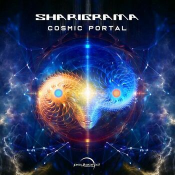 Cosmic Portal cover