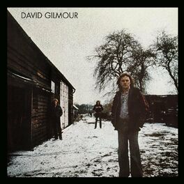 Album cover of David Gilmour