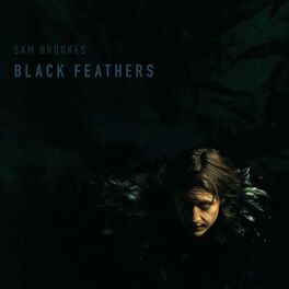 Album cover of Black Feathers