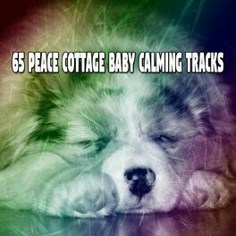 Album cover of 65 Peace Cottage Baby Calming Tracks