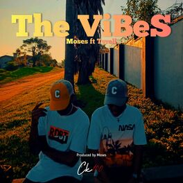 Album cover of The ViBeS (feat. Moses & Tyrell)