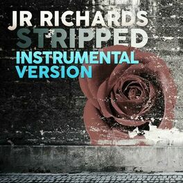 Album cover of Stripped (Instrumental Version)