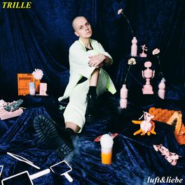Album cover of Luft & Liebe