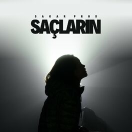 Album cover of Saçların