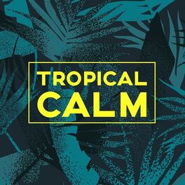 Album cover of Tropical Calm