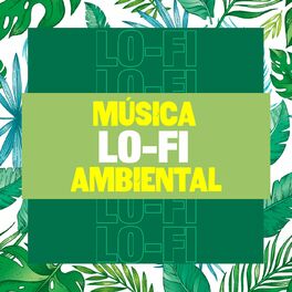 Album cover of Música Lo-Fi ambiental