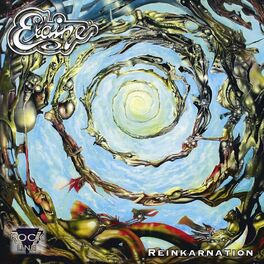 Album cover of Reinkarnation