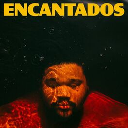 Album cover of Encantados