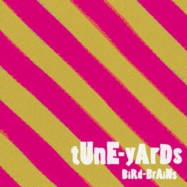 Album cover of BiRd-BrAiNs