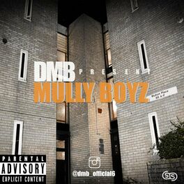 Album cover of Mully Boyz (Mixtape)