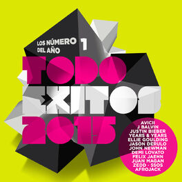 Album cover of Todo Exitos 2015 (Los Numero 1 Del Año)