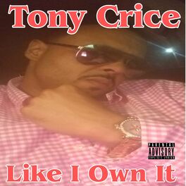 Album cover of Like I Own IT