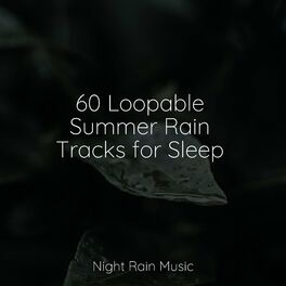 Album cover of 60 Loopable Summer Rain Tracks for Sleep