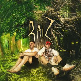 Album cover of Raiz
