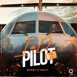 Album cover of I'm D Pilot 2