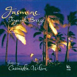 Album cover of Tropical Breeze