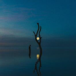 Album cover of Hiraeth Remixes