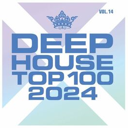 Album cover of Deephouse Top 100 - 2024 - Vol. 14