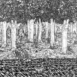 Album cover of Through the Trees
