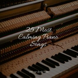 Album cover of 25 Most Calming Piano Songs