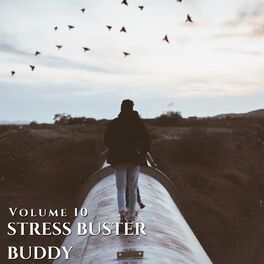 Album cover of Stress Buster Buddy Vol 10