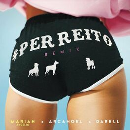Album cover of Perreito (Remix)