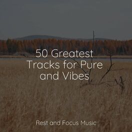 Album cover of 50 Greatest Tracks for Pure and Vibes