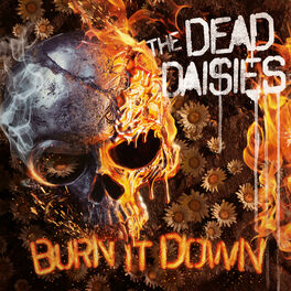 Album cover of Burn It Down