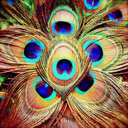Jinsei: albums, songs, playlists | Listen on Deezer