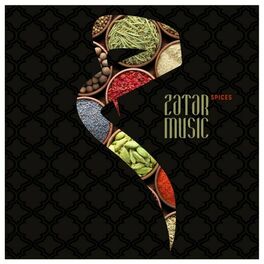 Album cover of Zatar Spices