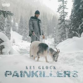 Album cover of Pain Killers
