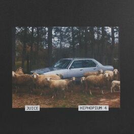 Album cover of Hiphopium, Vol. 4