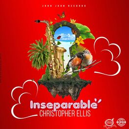 Album cover of Inseparable