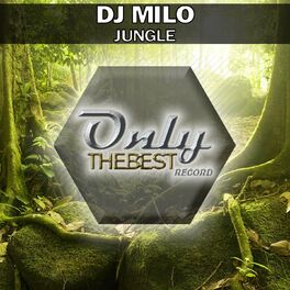 Album cover of Jungle
