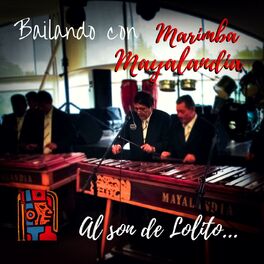 Album cover of Al son de Lolito