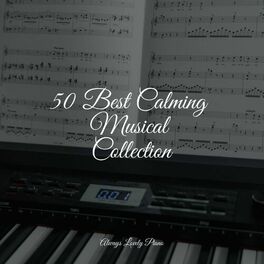 Album cover of 50 Best Calming Musical Collection