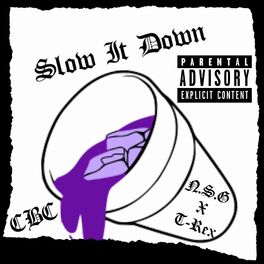 Album cover of Slow It Down (feat. T-Rex)