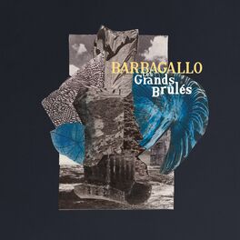 Album cover of Les Grands Brûlés
