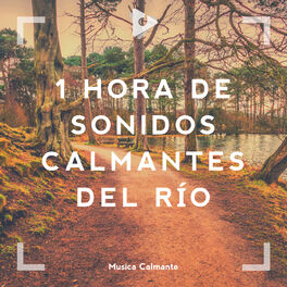 Album cover of 1 Hora de Sonidos Calmantes del Río