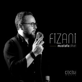 Album cover of Fizani