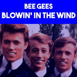 Album cover of Blowin' In The Wind