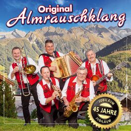 Album cover of 45 Jahre - Jubiläum